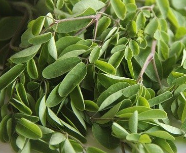 Moringa Tea | Hair Growth